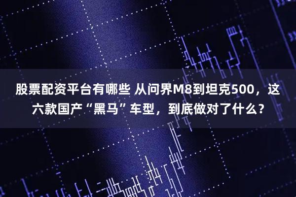 股票配资平台有哪些 从问界M8到坦克500，这六款国产“黑马”车型，到底做对了什么？