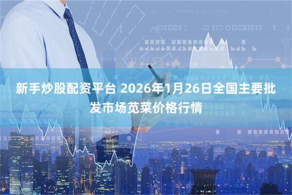 新手炒股配资平台 2026年1月26日全国主要批发市场苋菜价格行情